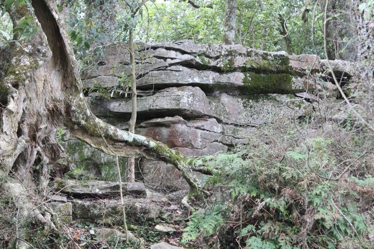 Photo of property in 1074 Oparure Road, Te Kuiti, 3985