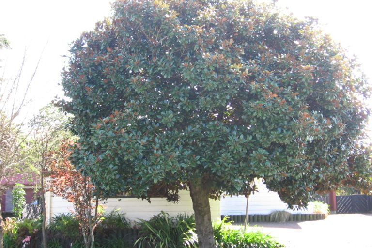 Photo of property in 113 Simpson Road, Papamoa Beach, Papamoa, 3118