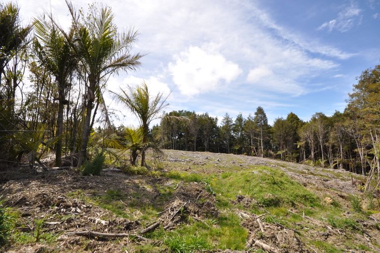 Photo of property in 551 Krippner Road, Puhoi, Silverdale, 0994