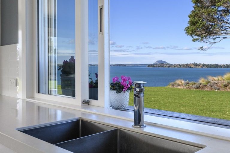 Photo of property in 340g Pahoia Road, Whakamarama, Tauranga, 3172