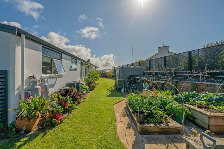 Photo of property in 20 Roseberry Place, Whitianga, 3510