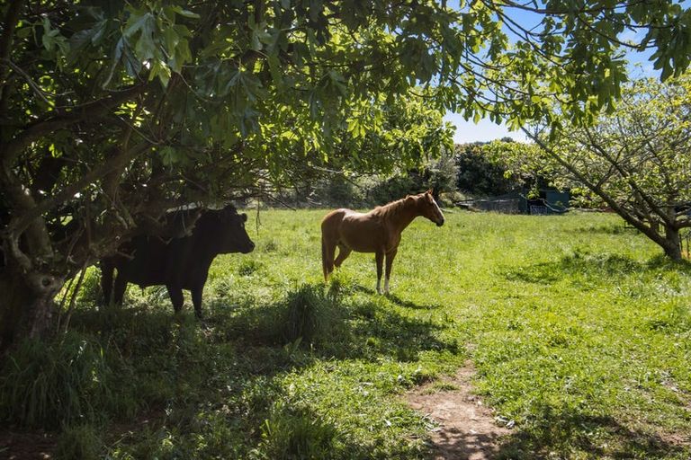 Photo of property in 167 Willoughby Road, Tahawai, Katikati, 3170