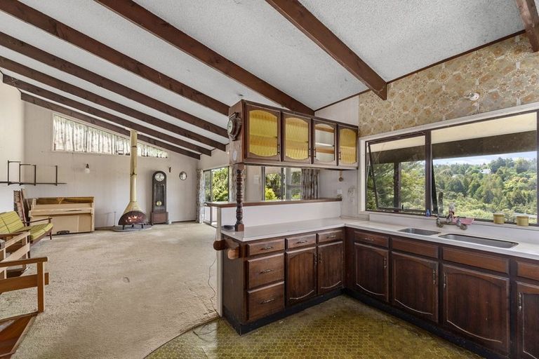 Photo of property in 119 Stredwick Drive, Torbay, Auckland, 0630