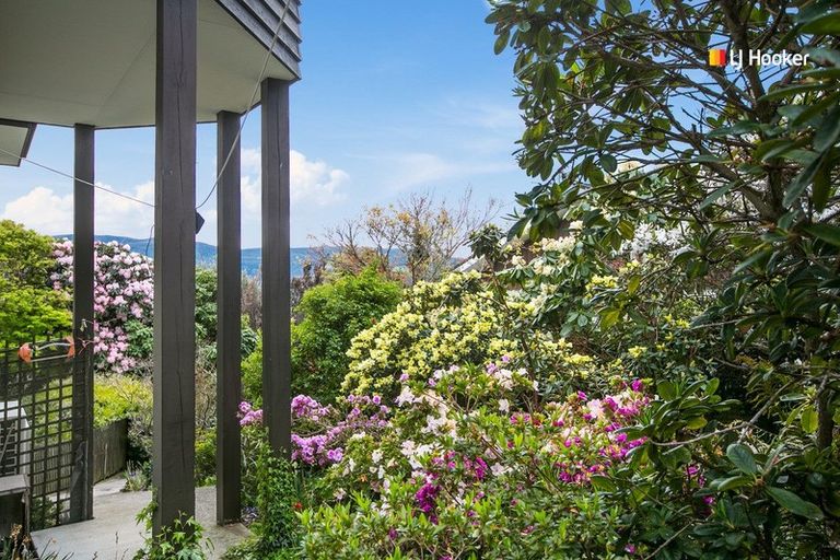 Photo of property in 31 Dunrobin Street, Waverley, Dunedin, 9013