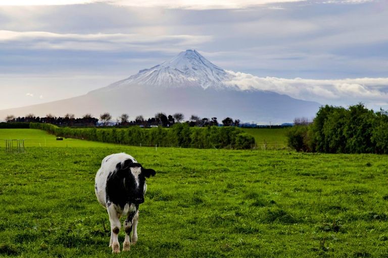 Photo of property in 357 Katene Road, Normanby, Hawera, 4675