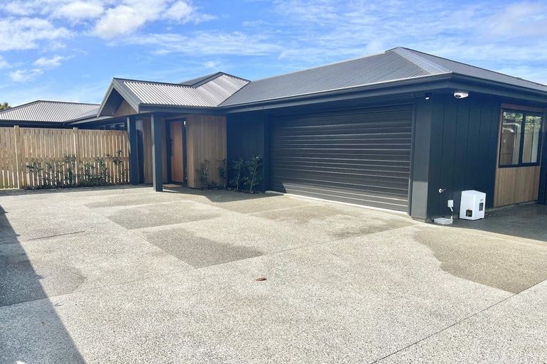 Photo of property in 95a Linton Street, West End, Palmerston North, 4410