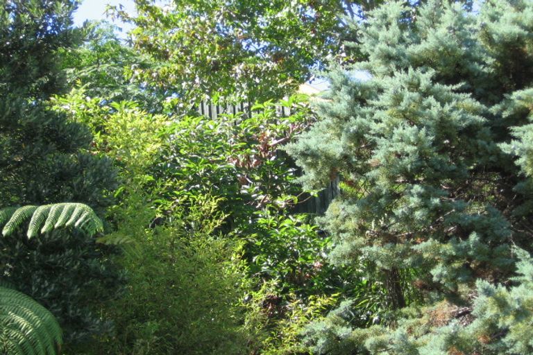 Photo of property in 1/41 Brigantine Drive, Beach Haven, Auckland, 0626