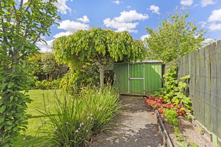 Photo of property in 3 Glencoe Place, Nawton, Hamilton, 3200