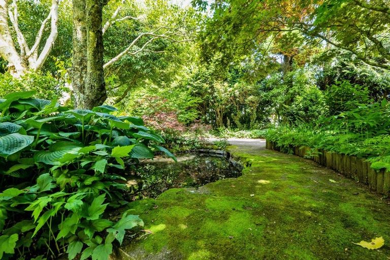 Photo of property in 37 Flint Road West, Stratford, 4332