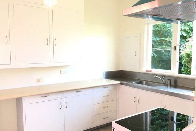 Photo of property in 45 Pacific Street, Roslyn, Dunedin, 9010