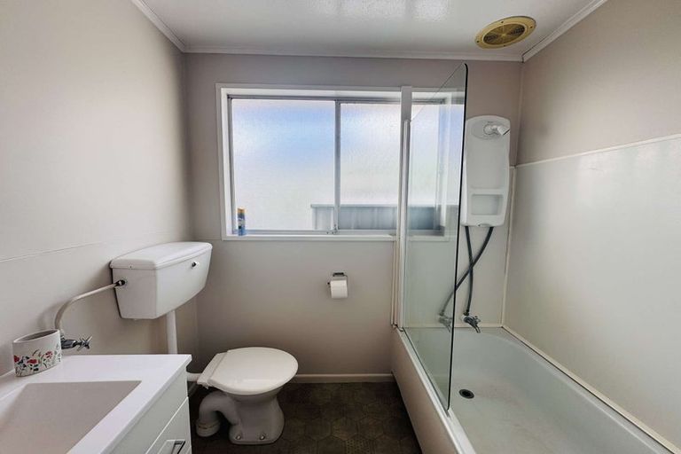 Photo of property in 101 Shamrock Street, Takaro, Palmerston North, 4412