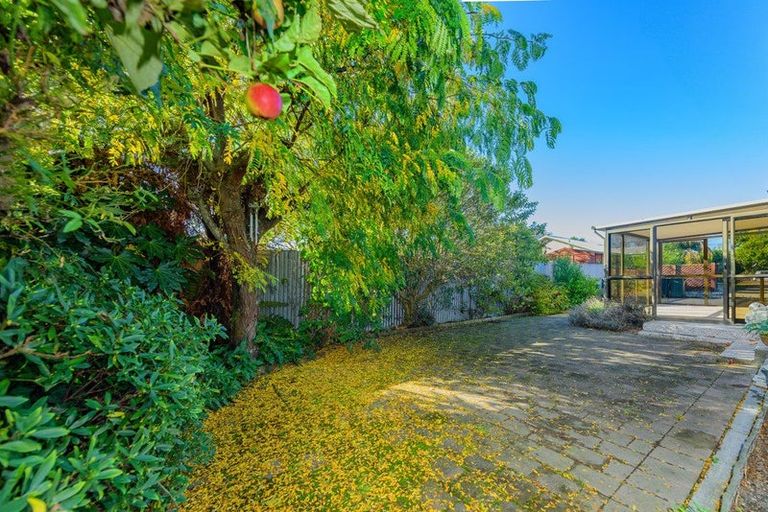 Photo of property in 14 Maurice Street, Lincoln, 7608