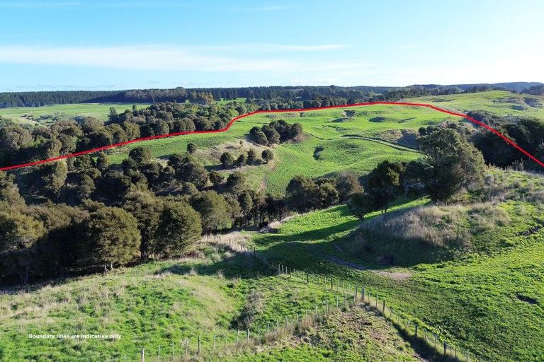 Photo of property in 741 Hingarae Road, Tihoi, Turangi, 3381