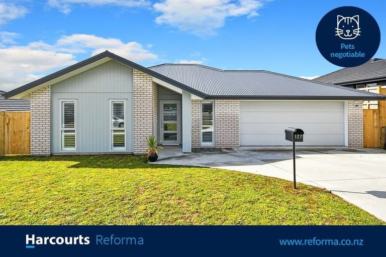 Photo of property in 127 Hitchen Road, Pokeno, 2402