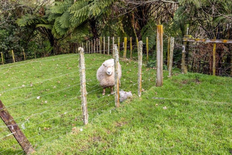 Photo of property in 1288 Richmond Road, Everett Park, Inglewood, 4389