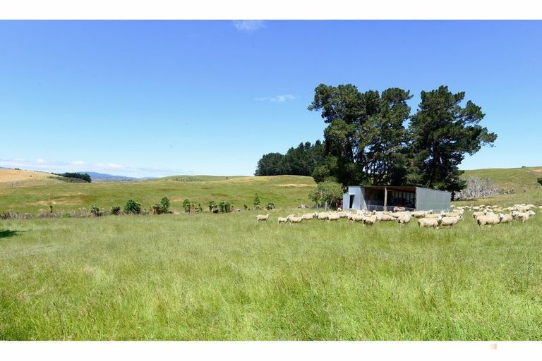Photo of property in 617 Waihaorunga Back Road, Elephant Hill, Waimate, 7977