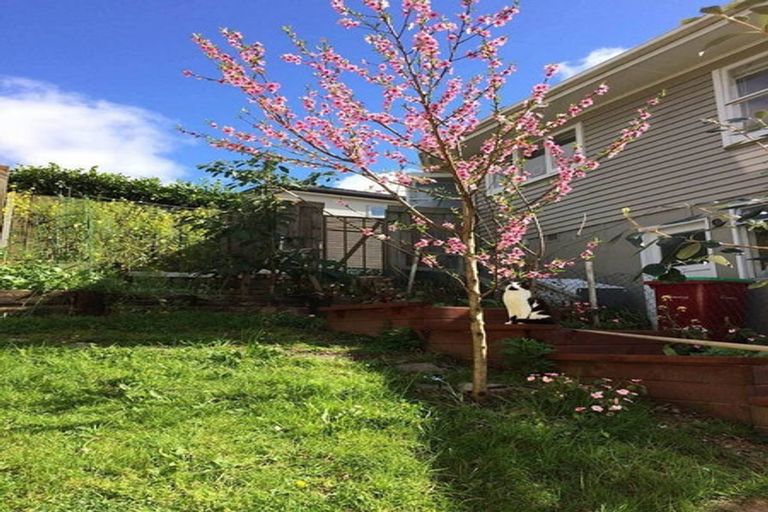 Photo of property in 36b Gibraltar Street, Howick, Auckland, 2014