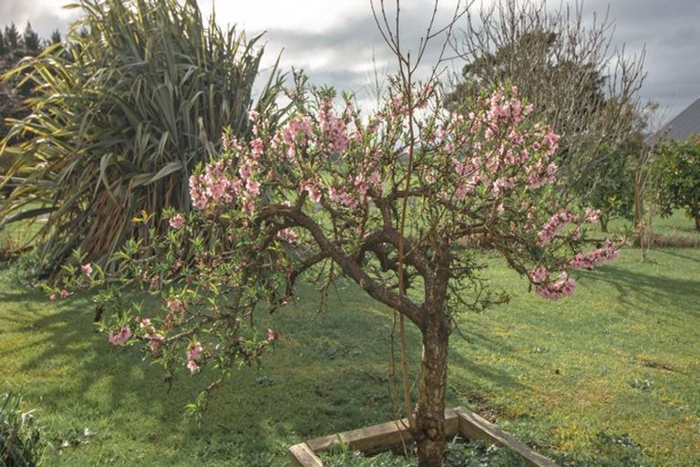 Photo of property in 154 Stanley Avenue, Te Aroha, 3320