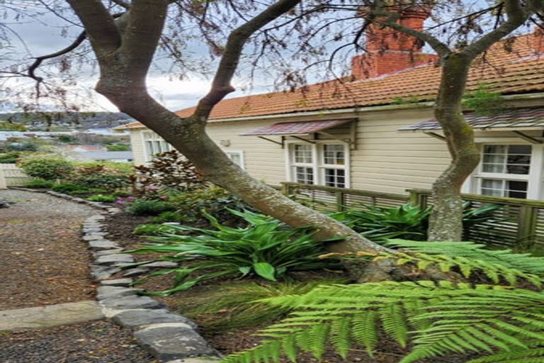 Photo of property in 52 Hazel Avenue, Caversham, Dunedin, 9012