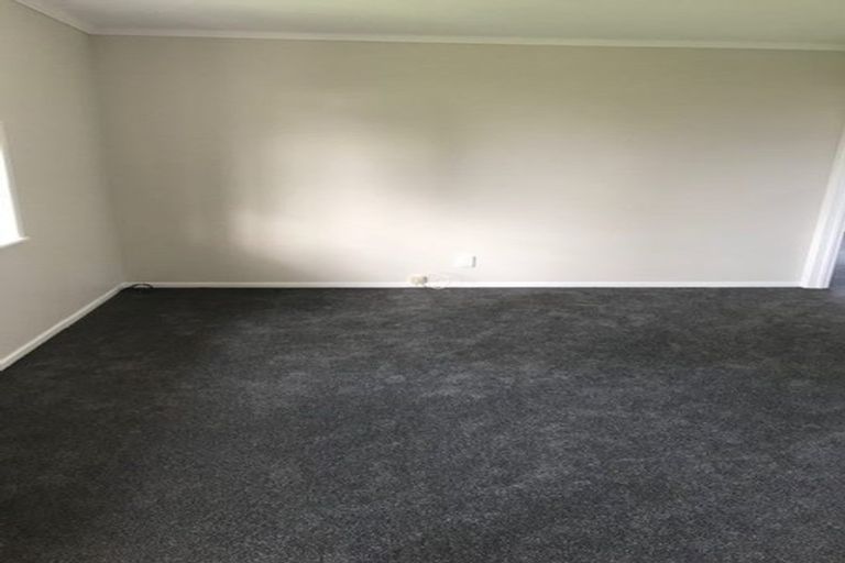 Photo of property in 24 Ireland Road, Mount Wellington, Auckland, 1060