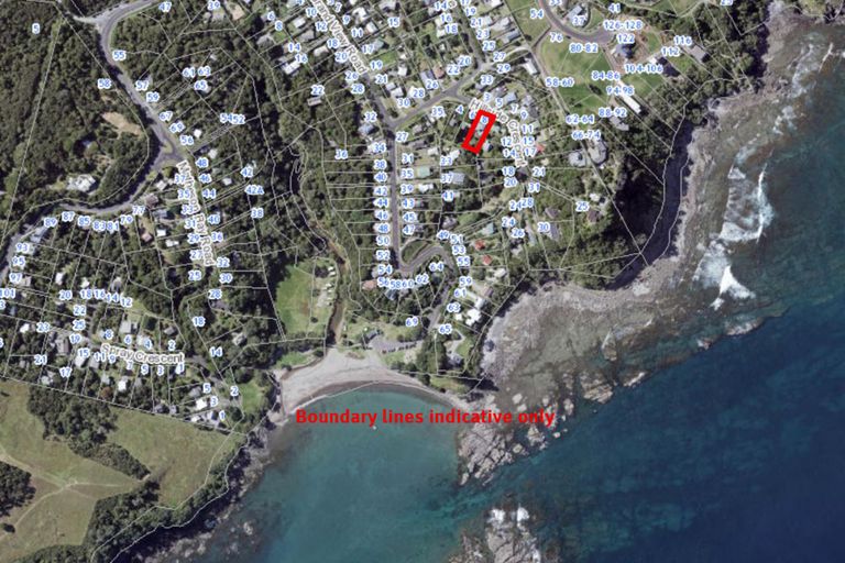 Photo of property in 8 Hillside Crescent, Leigh, 0985