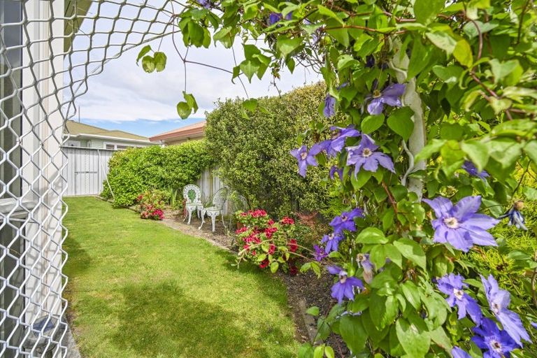 Photo of property in 705 Kennedy Road, Raureka, Hastings, 4120