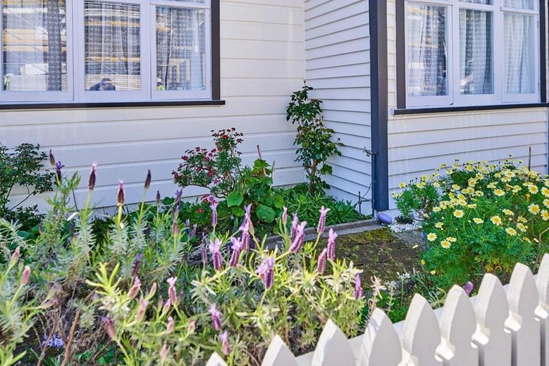 Photo of property in 17 Horner Street, Newtown, Wellington, 6021