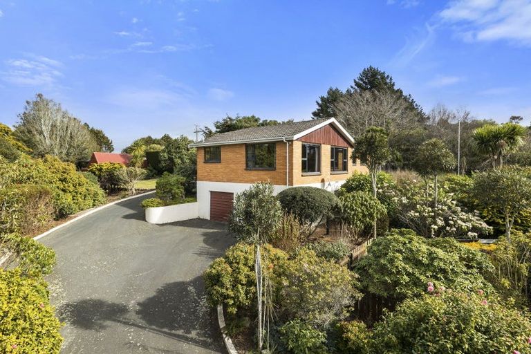 Photo of property in 602 Highcliff Road, Highcliff, Dunedin, 9077