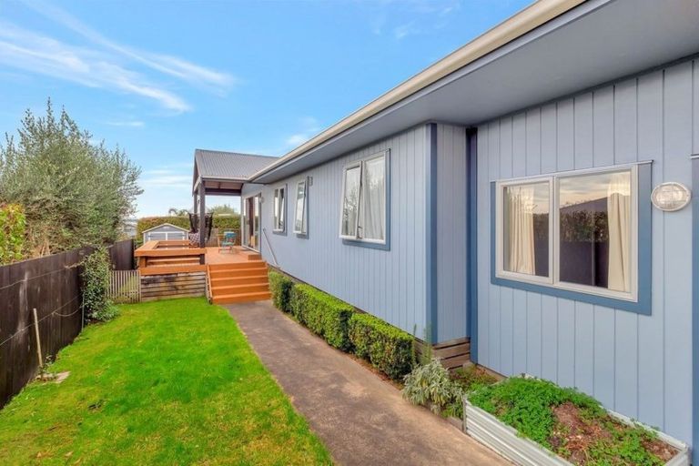 Photo of property in 65 Harrier Street, Parkvale, Tauranga, 3112