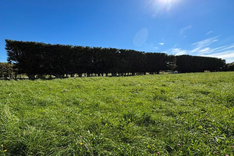 Photo of property in 85 George Street, Edendale, 9825