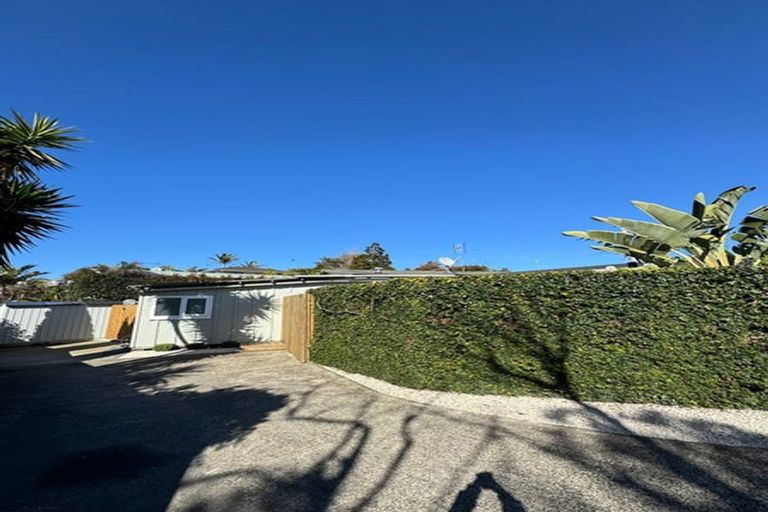 Photo of property in 55 Sunset Road, Totara Vale, Auckland, 0632