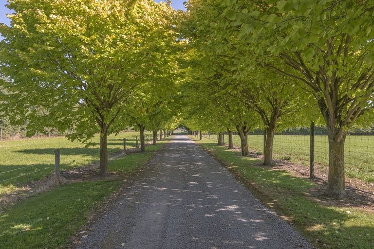 Photo of property in 299 Racecourse Road, Allenton, Ashburton, 7776