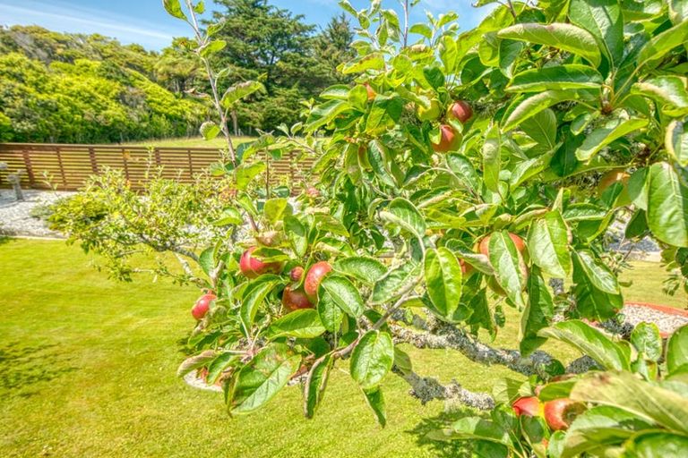 Photo of property in 68 Saltwater Creek Road, Rutherglen, Greymouth, 7805