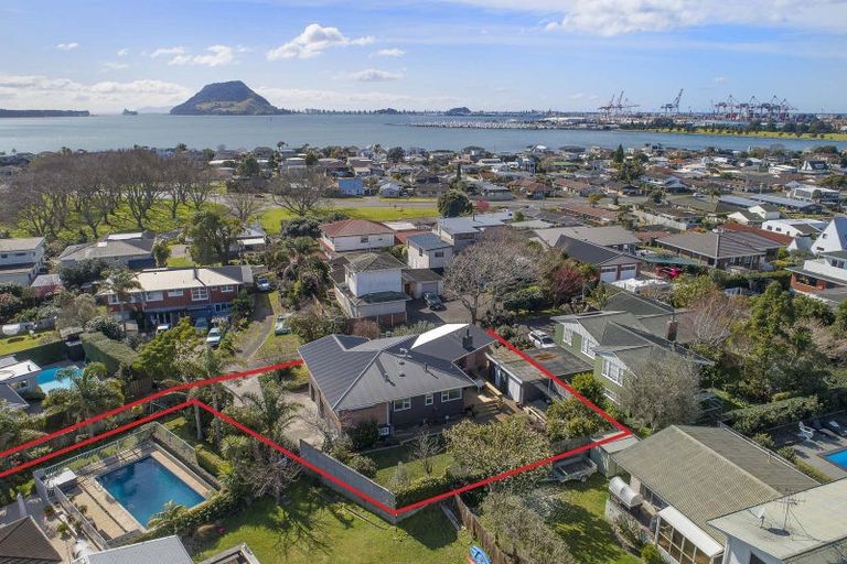 Photo of property in 22 Andrew Place, Otumoetai, Tauranga, 3110