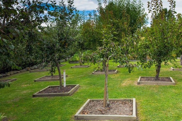 Photo of property in 306 Downs Road, Geraldine Downs, Geraldine, 7991