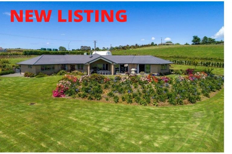 Photo of property in 515 Youngson Road, Whakamarama, Tauranga, 3179