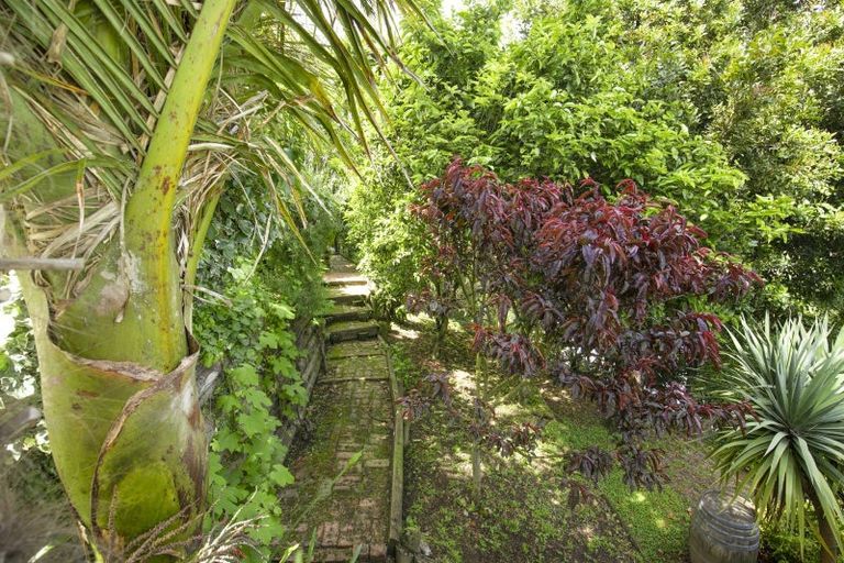 Photo of property in 21 Burns Road, Hospital Hill, Napier, 4110