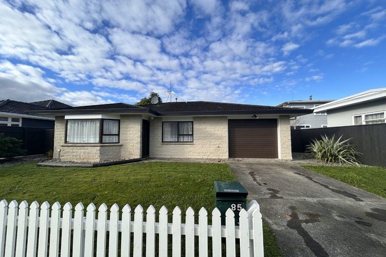 Photo of property in 85 Guy Avenue, Takaro, Palmerston North, 4410