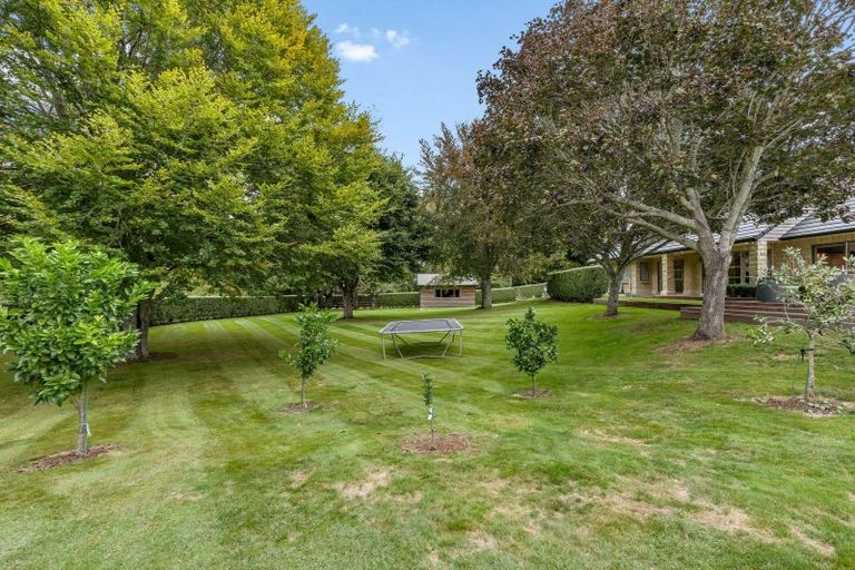 Photo of property in 8 Fieldhouse Lane, Matamata, 3400