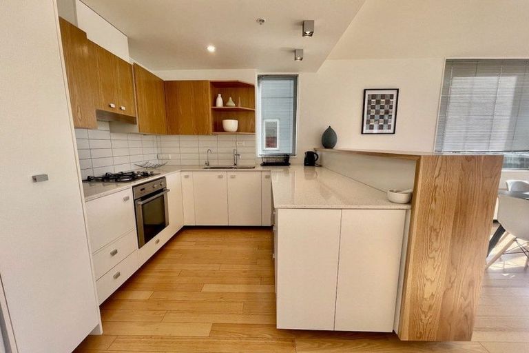 Photo of property in Trinity Apartments, 303/19 College Street, Te Aro, Wellington, 6011