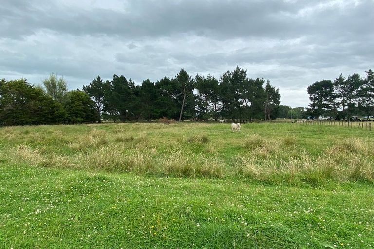 Photo of property in 156 Kawakawa Road, Feilding, 4775