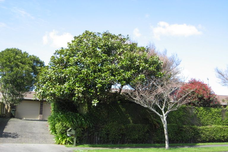 Photo of property in 14 Karamea Street, Whalers Gate, New Plymouth, 4310