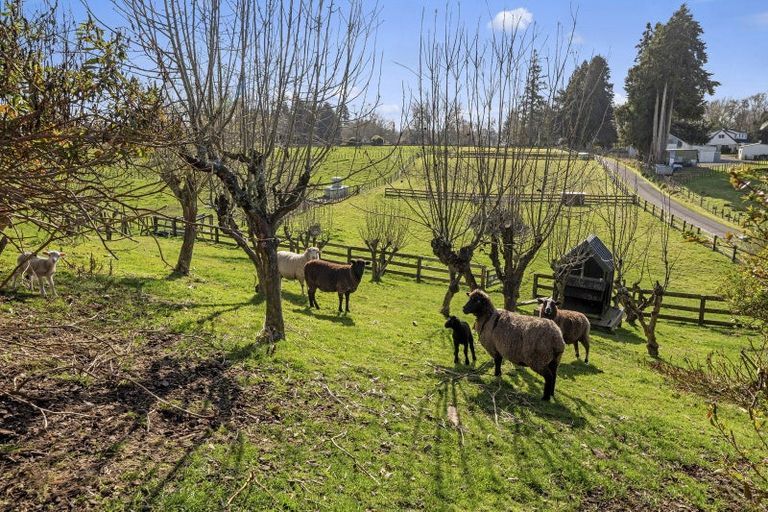 Photo of property in 73 Dansey Road, Ngongotaha Valley, Rotorua, 3072