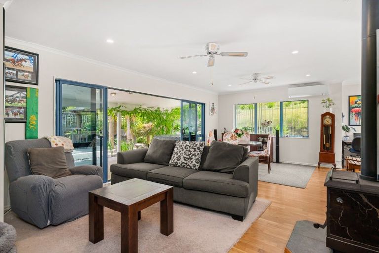 Photo of property in 259 Wainui Road South, Whakamarama, Katikati, 3181