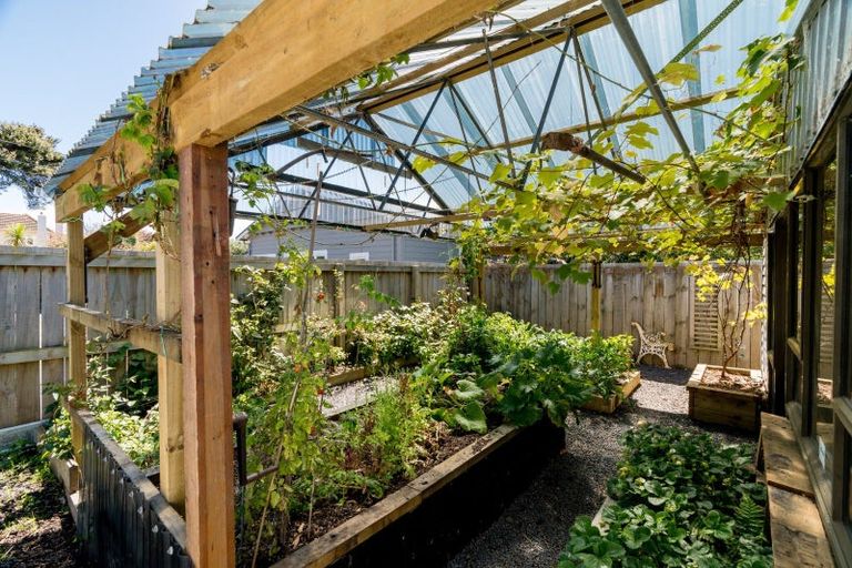 Photo of property in 380 Bay View Road, Saint Clair, Dunedin, 9012