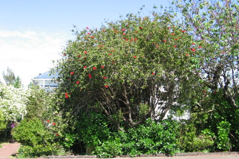 Photo of property in 20 Oswald Street, Mangapapa, Gisborne, 4010