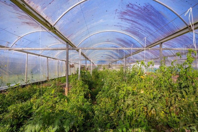 Photo of property in 80 Omaha Flats Road, Tawharanui Peninsula, Warkworth, 0986