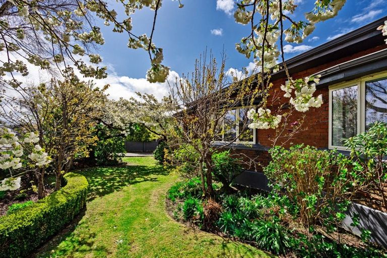 Photo of property in 58 Wellington Street, Georgetown, Invercargill, 9812