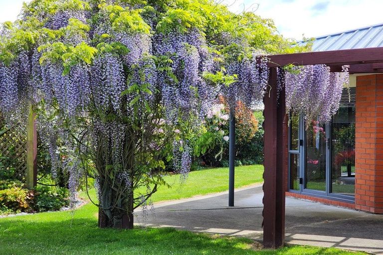 Photo of property in 404 Wai-iti Road, Gleniti, Timaru, 7910