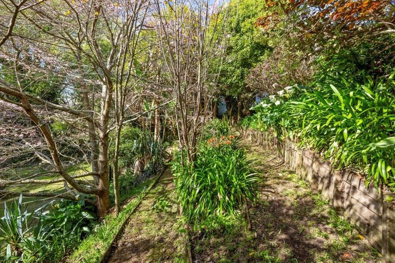 Photo of property in 29 Olwyn Terrace, Dinsdale, Hamilton, 3204